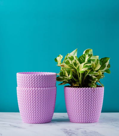 Textured Pink Purl Fiber Planters Pack