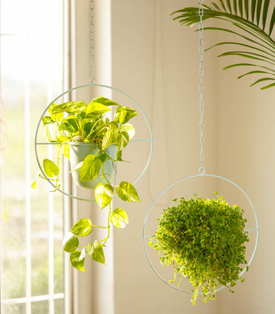 Set of 2 Millennial Metal Hanging Planters with Round Design