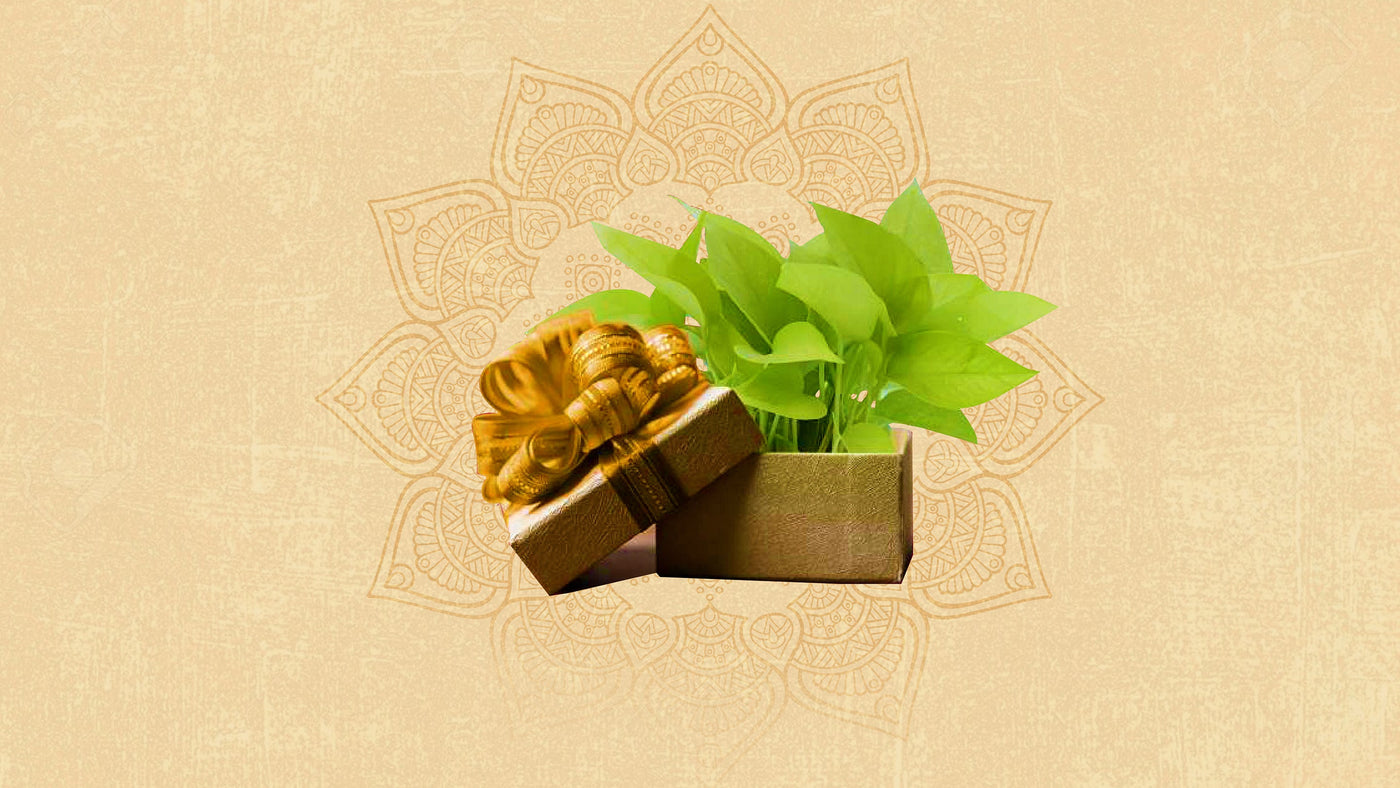 green gifts online