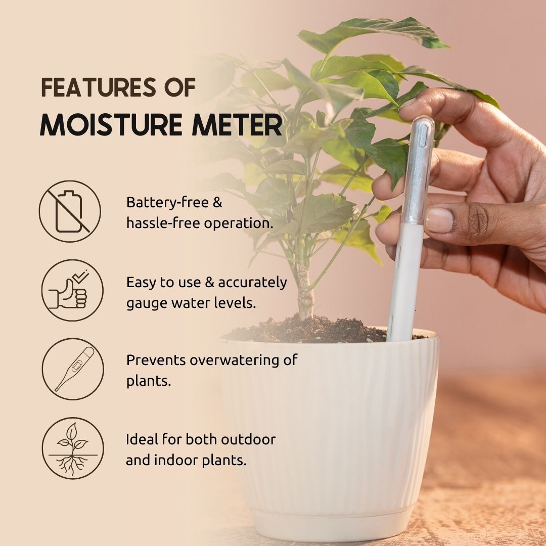 soil moisture level for indoor plants Soil Moisture Level Meter (Set of 5) – Nurturing Green
