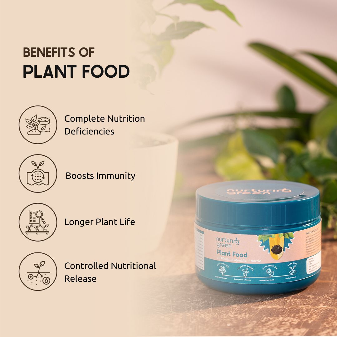 Plant Food  Nurturing Green