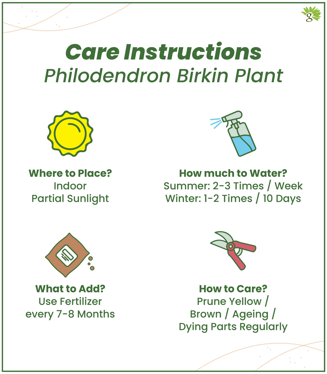 philodendron birkin care instructions Combo of Jade & Birkin Plant in Ivory Self Watering Plastic Pots (4.5* –  Nurturing Green