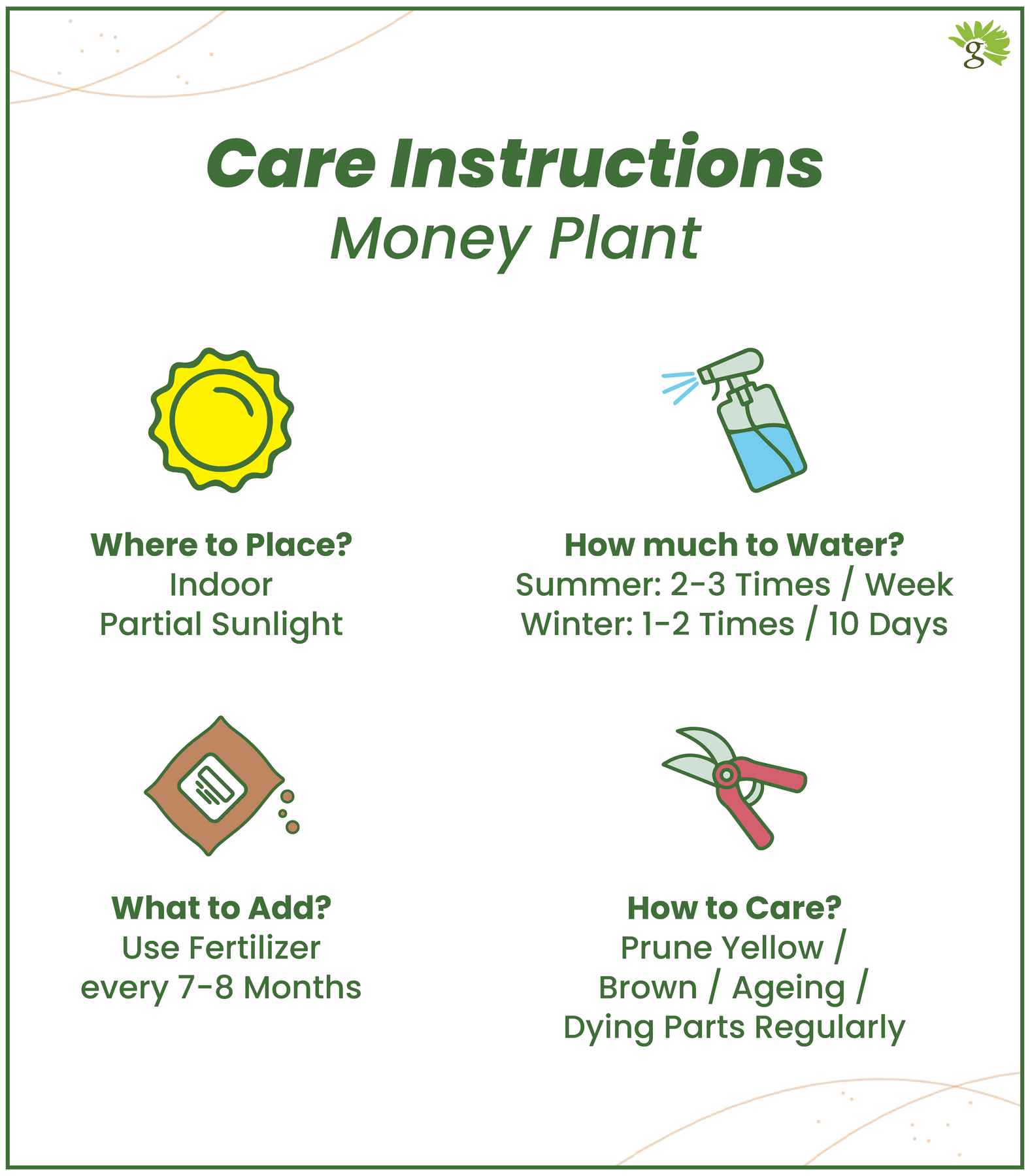 money tree watering instructions Money Plant Njoy in Mocha Self Watering Plastic Pot (4.5*4 Inch) – Nurturing Green