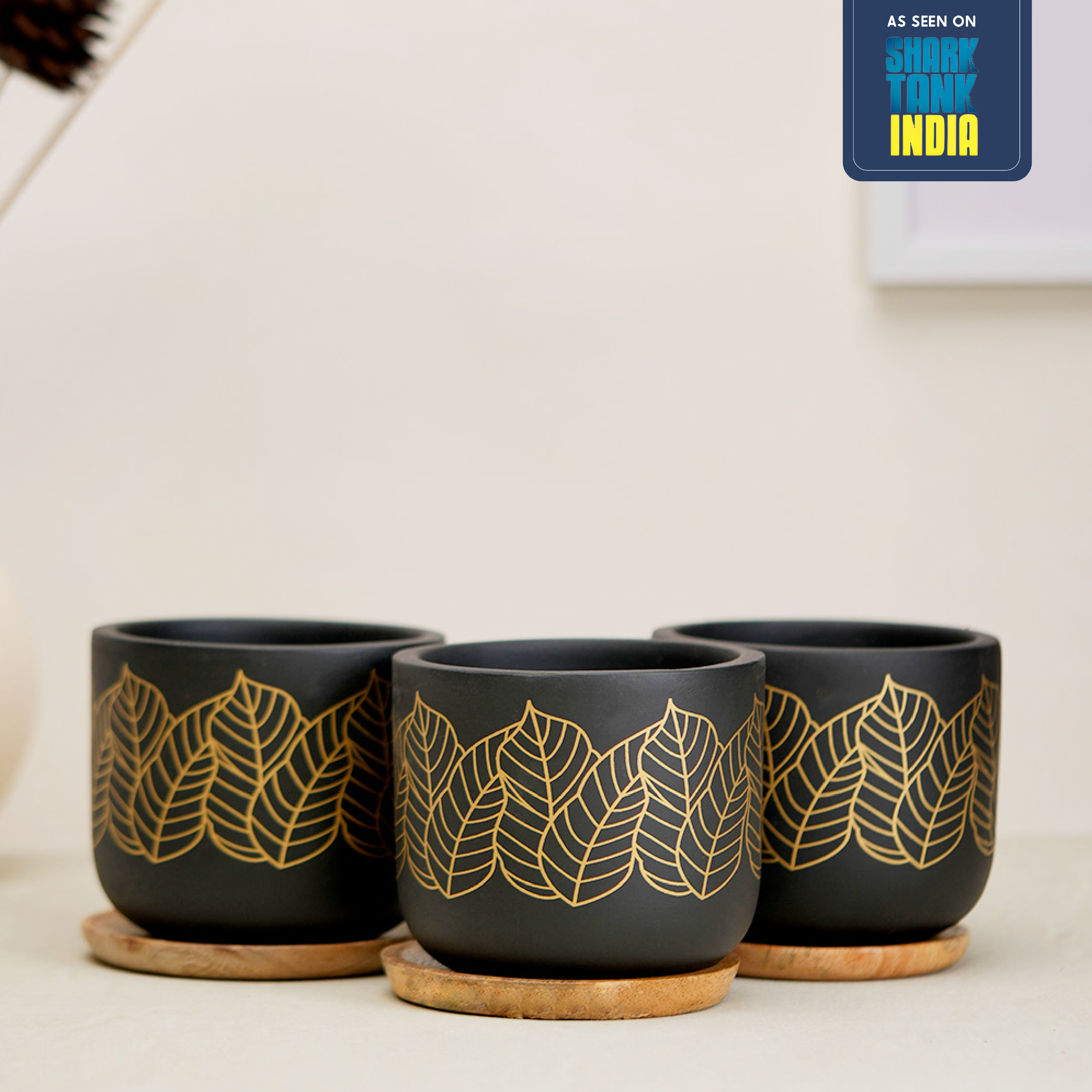 Zen' Black Terracotta Plant Pots – Nurturing Green