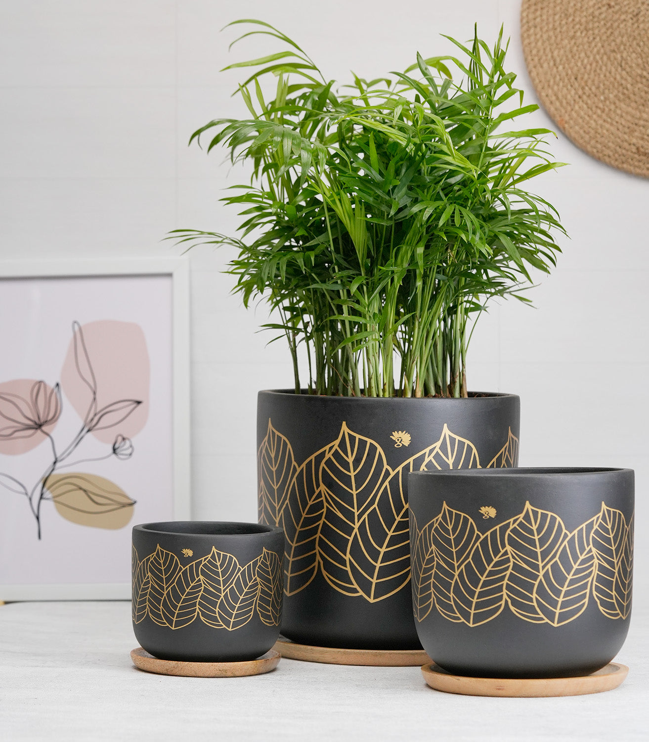 zen planter pots Zen' Black Terracotta Plant Pots – Nurturing Green