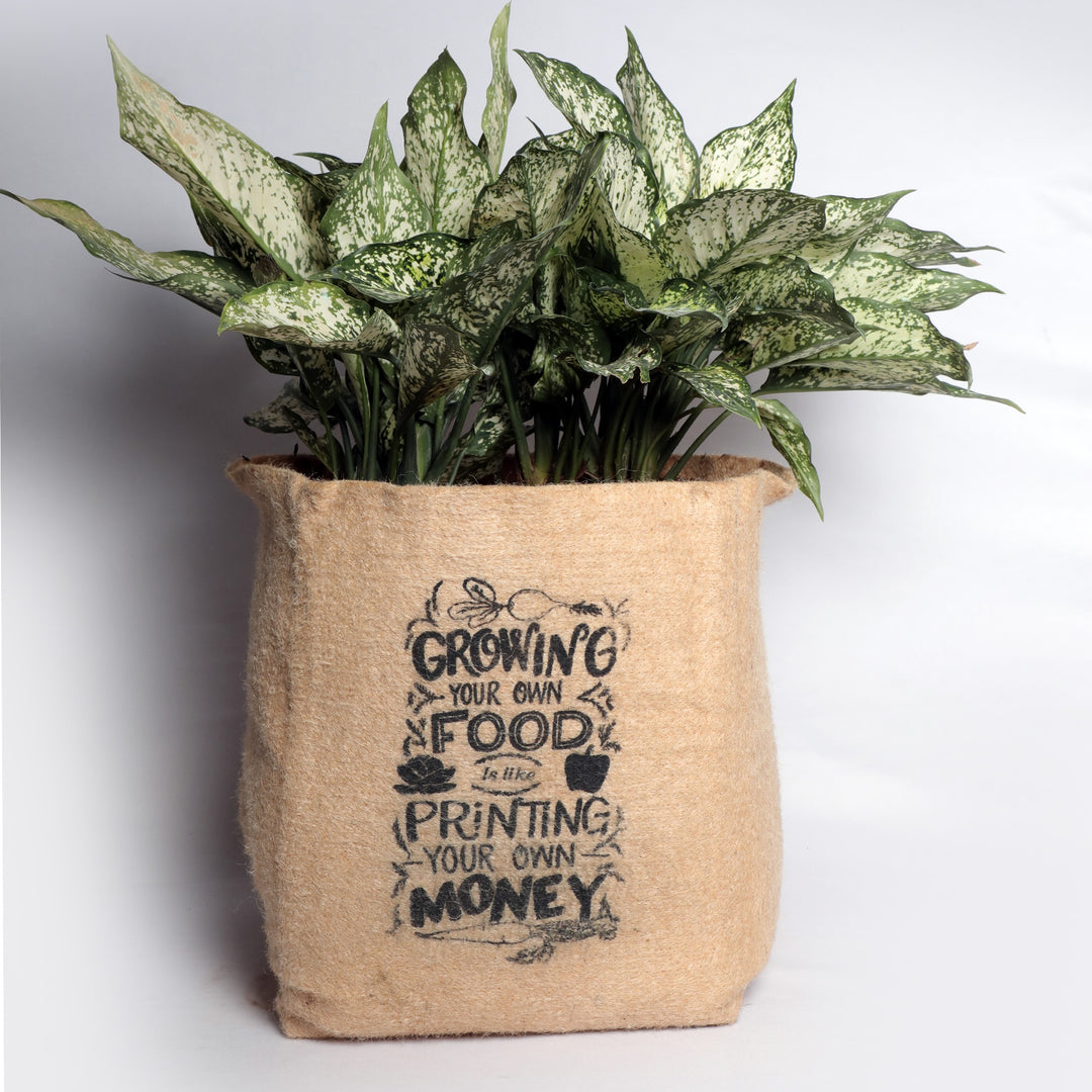 jute grow bags for plants Eco-Friendly Jute Grow Bag – Nurturing Green