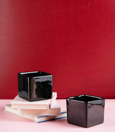 Black Evergreen Ceramic Pots for Houseplants (Set of 2)