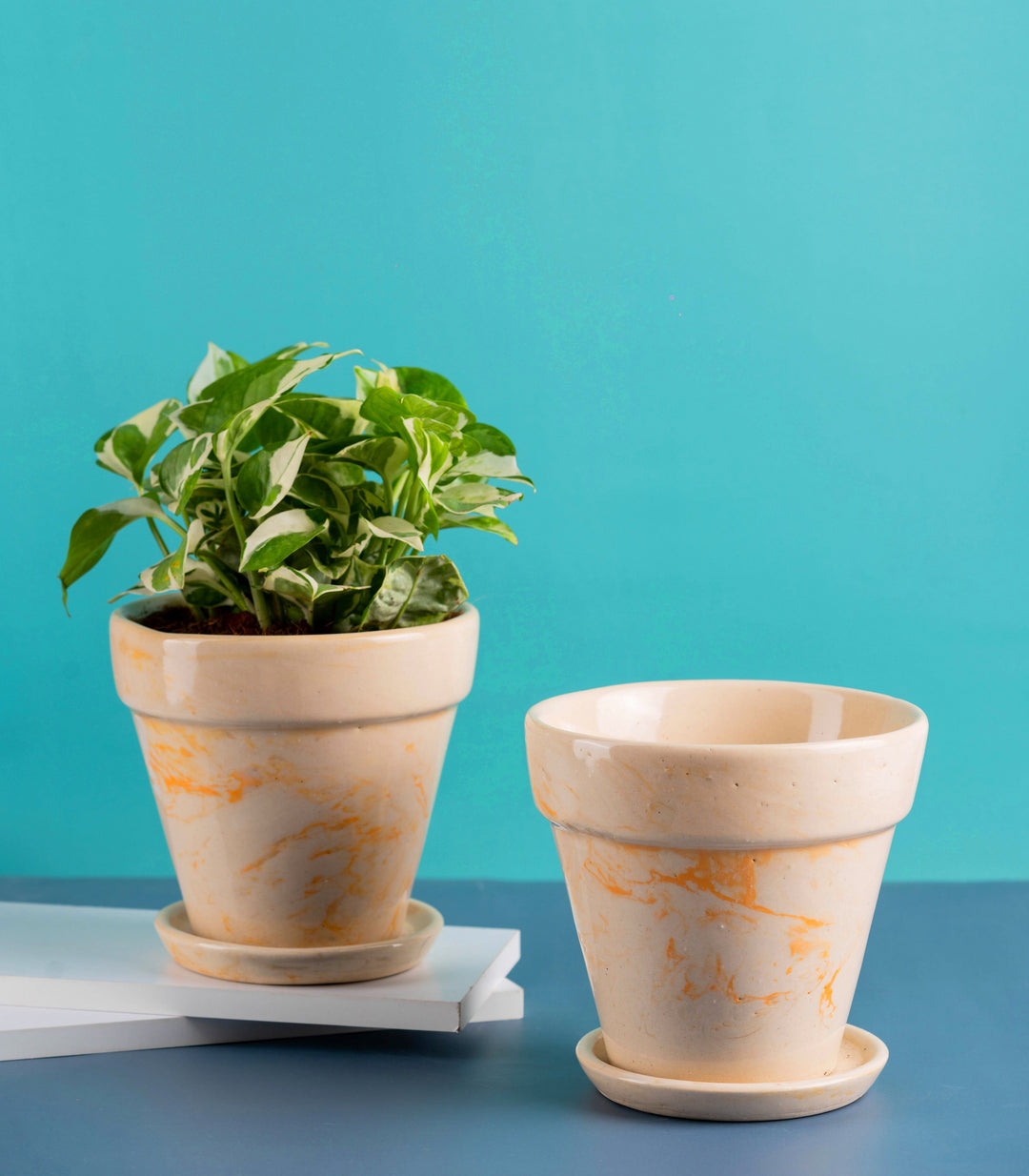 ceramic pots for plants online india Buy Decorative 5 Inch Mystique Ceramic Pots (Set of 2) Online