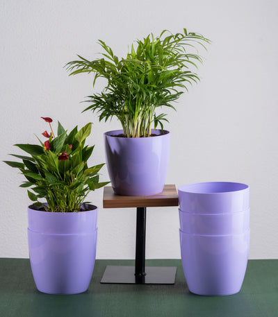 Purple Glossy Bare Fiber Planter Set (Size: 5 Inch)