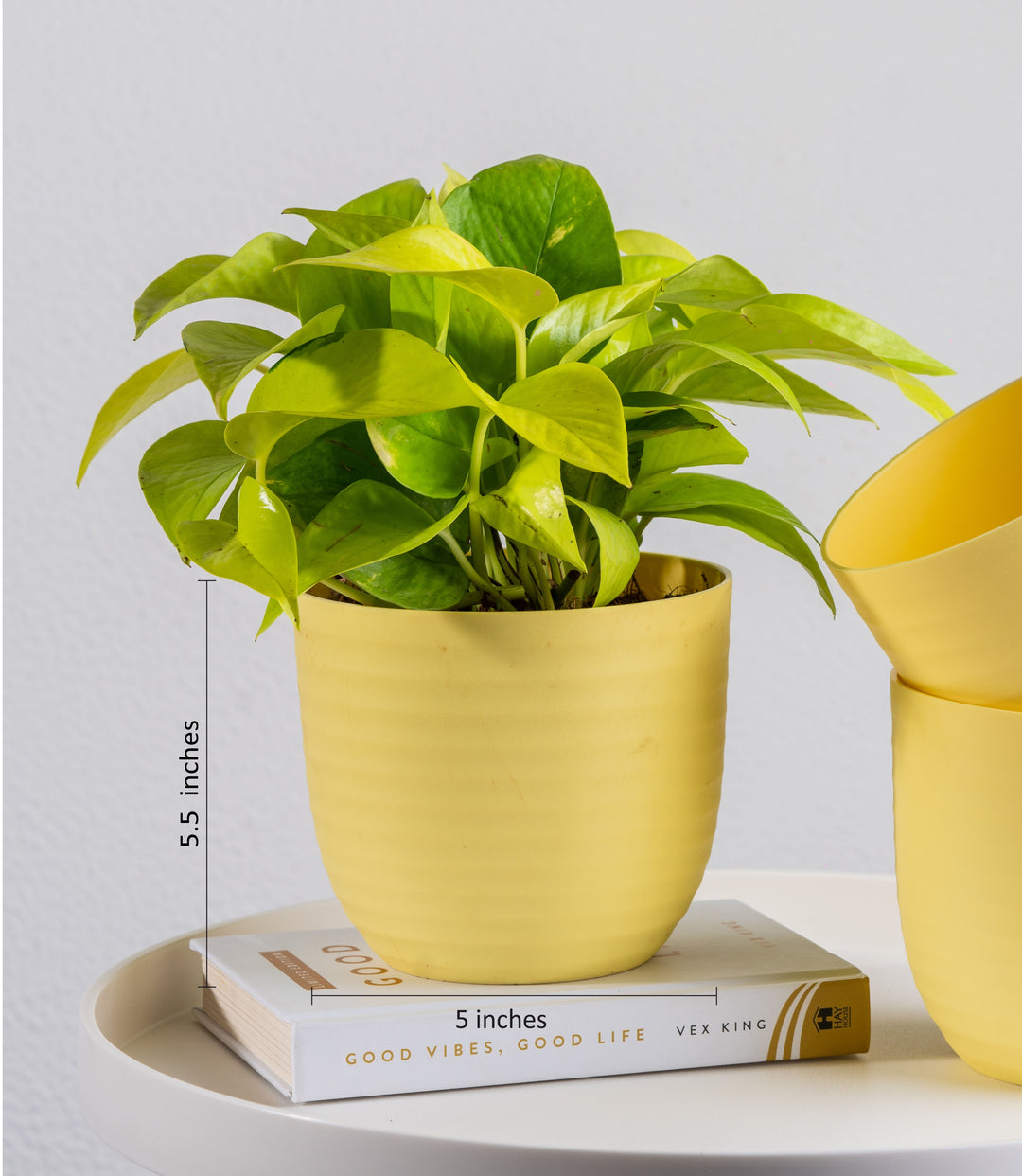 Buy Yellow Wave Fiber Planters with Matte Finish Online