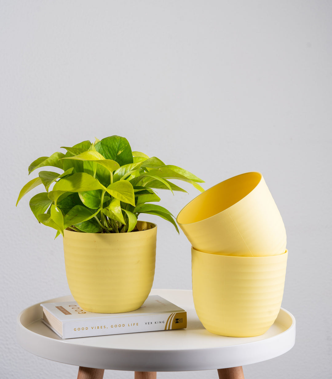 Buy Yellow Wave Fiber Planters with Matte Finish Online