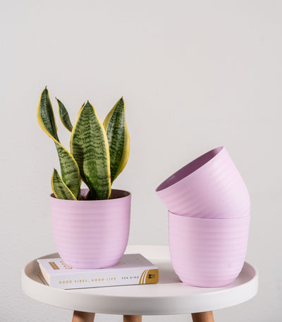 Pink Wave Fiber Planters with Matte Finish