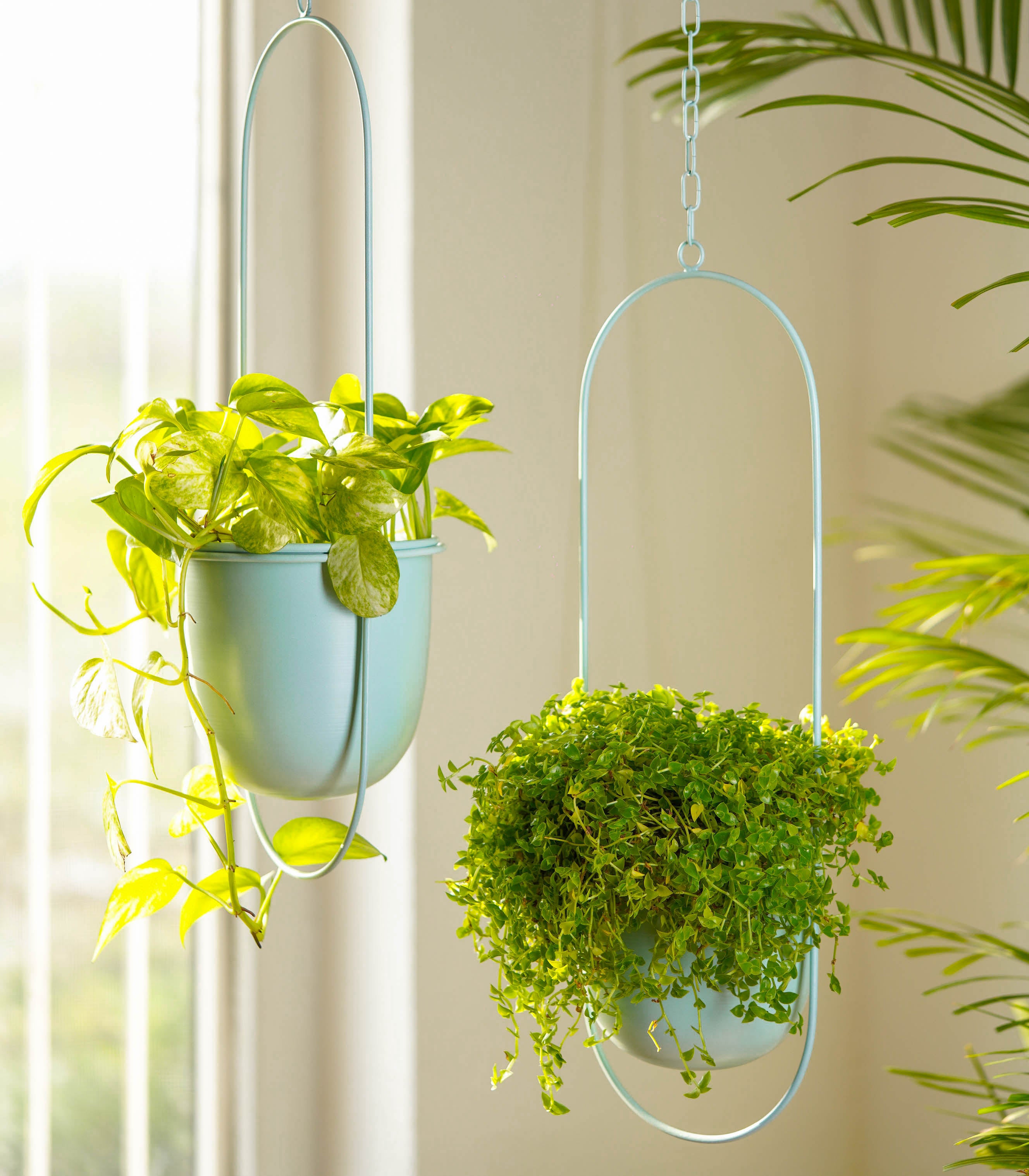 Buy Set of 2 Millennial Metal Hanging Planters with Oval Design