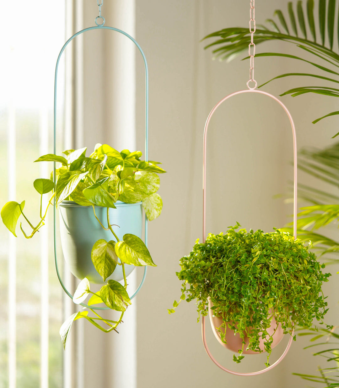 metal hanging plants Buy Set of 2 Millennial Metal Hanging Planters with Oval Design