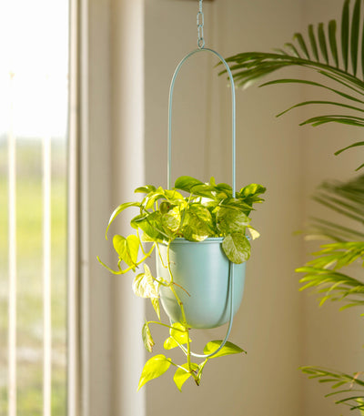 Millennial Metal Hanging Planter with Oval Design