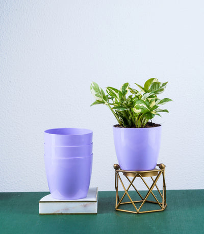 Purple Glossy Bare Fiber Planter Set (Size: 4 Inch)